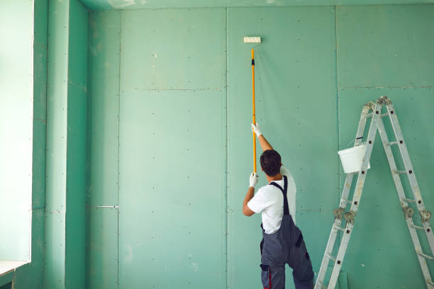 Best Emergency Mold Remediation  in Pikeville, KY