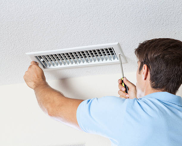 Best Mold Damage Restoration  in Pikeville, KY