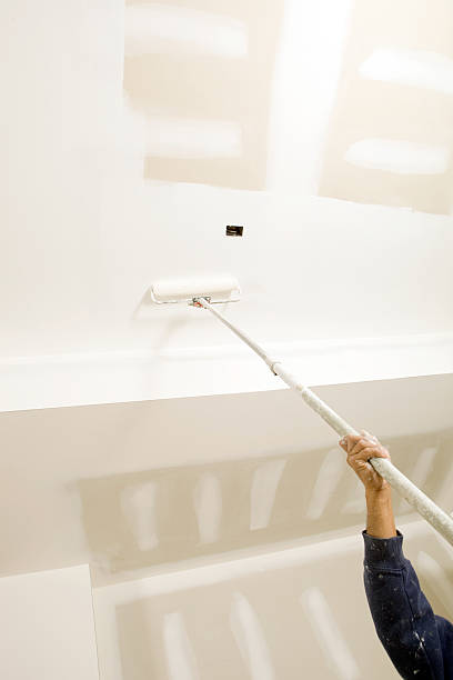 Best Black Mold Removal  in Pikeville, KY